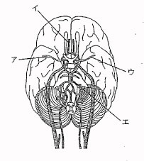 93回看護師国家試験午後問題4