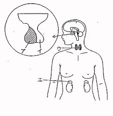 93回看護師国家試験午後問題8