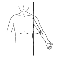 99回看護師国家試験午前問題19_1