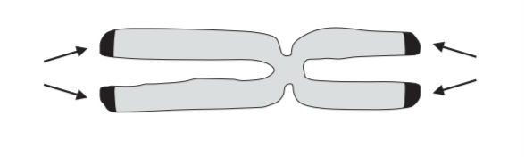 第103回薬剤師国家試験 必修問題 問13