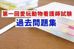 第一回愛玩動物看護師試験